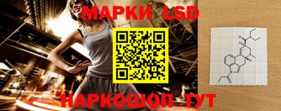 гашик Шелехов