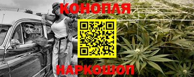 гашик Шелехов