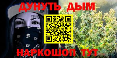 гашик Шелехов