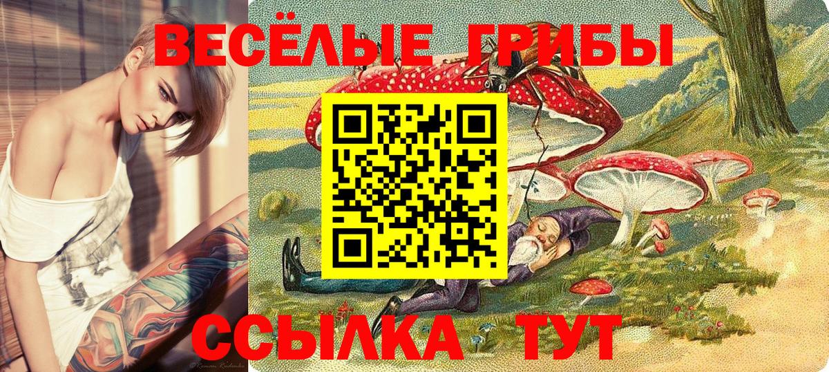 Псилоцибиновые грибы Psilocybine cubensis  Вход с VPN  Галлюциногенные грибы MAGIC MUSHROOMS  Крымск 
